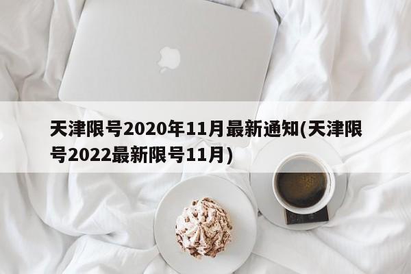 天津限号2020年11月最新通知(天津限号2022最新限号11月)