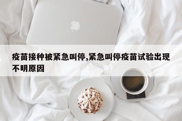 疫苗接种被紧急叫停,紧急叫停疫苗试验出现不明原因